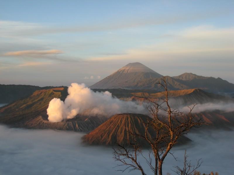 2007 07 15 BALI 0021.jpg